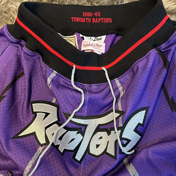 Toronto Raptors Mitchell & Ness x Just Don 1995 NBA Draft  Authentic Shorts - Picture 3 of 4
